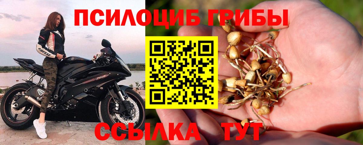 Галлюциногенные грибы Magic Shrooms Будённовск
