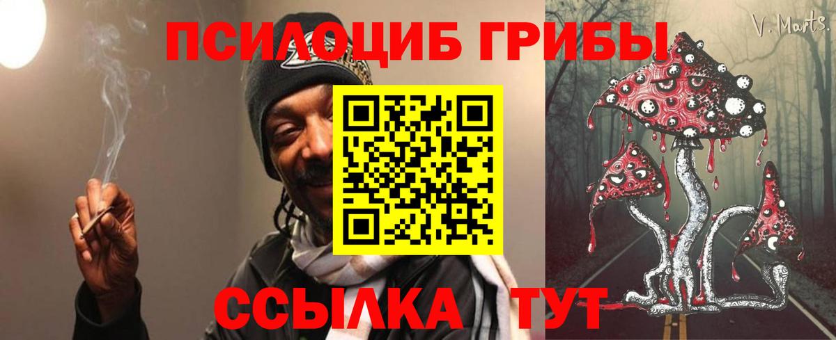 Галлюциногенные грибы прущие грибы  Галлюциногенные грибы Magic Shrooms  Вход с VPN  Будённовск 