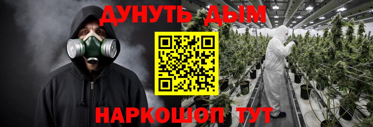 Конопля гибрид Будённовск